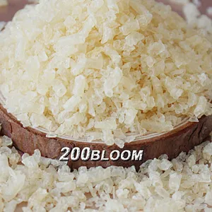Henan factory supply food grade gelatin halal gelatin powder